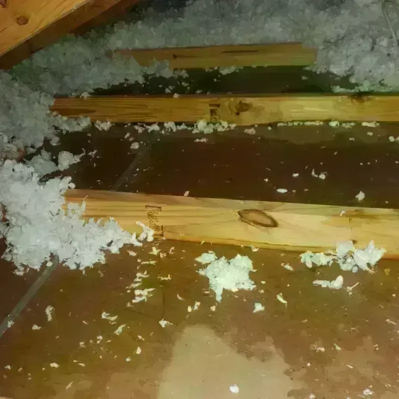 Attic Water Damage in Wilber, NE